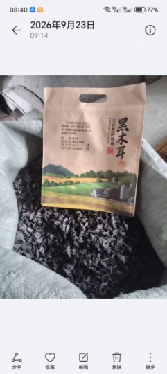 秋木耳